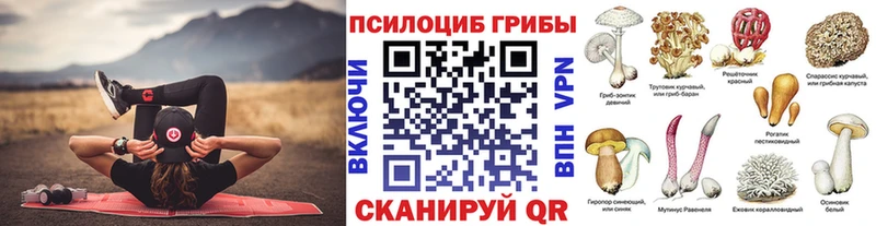 Купить закладки  Кировск  Галлюциногенные грибы GOLDEN TEACHER 